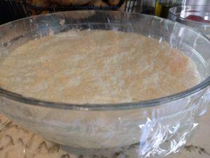 Dough after 1-½ hours