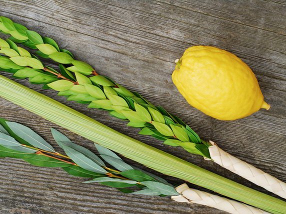 Sukkot recipes 