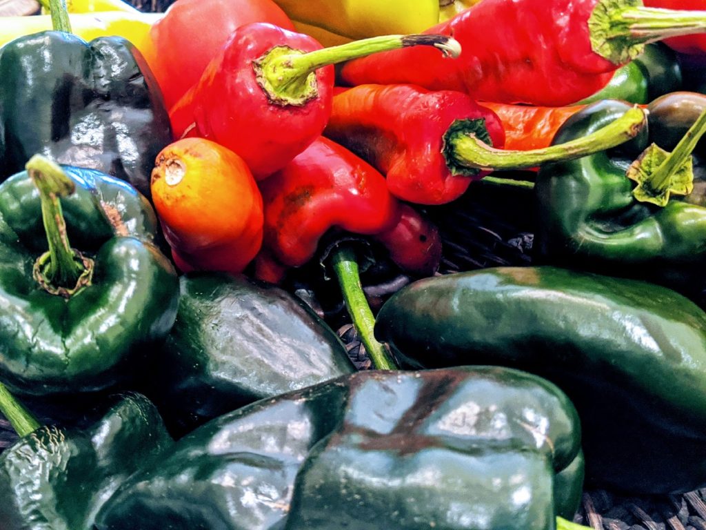 stuffed poblano pepper